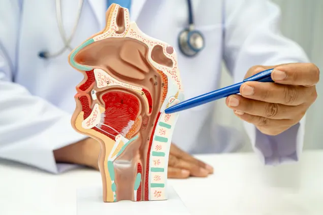 Yutma Güçlükleri (Disfaji)